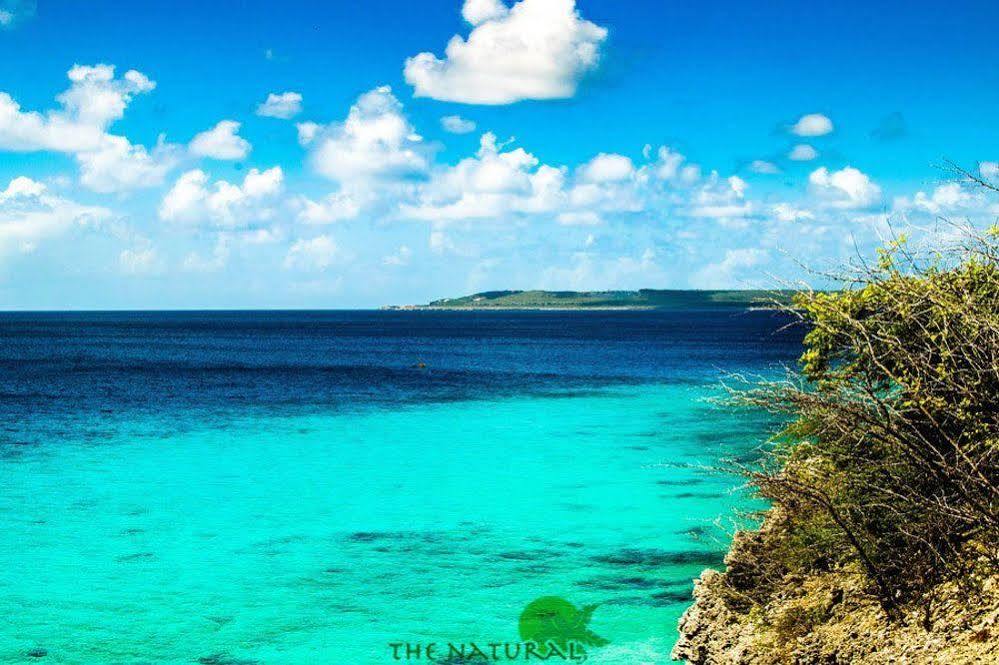 Апарт готель Bandabou Breeze Curacao Willibrordus Екстер'єр фото